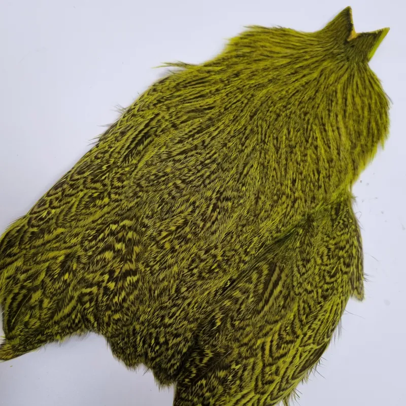 Whiting Coq de Leon Hen Cape in Speckled Fl.Yellow Chartreuse-6